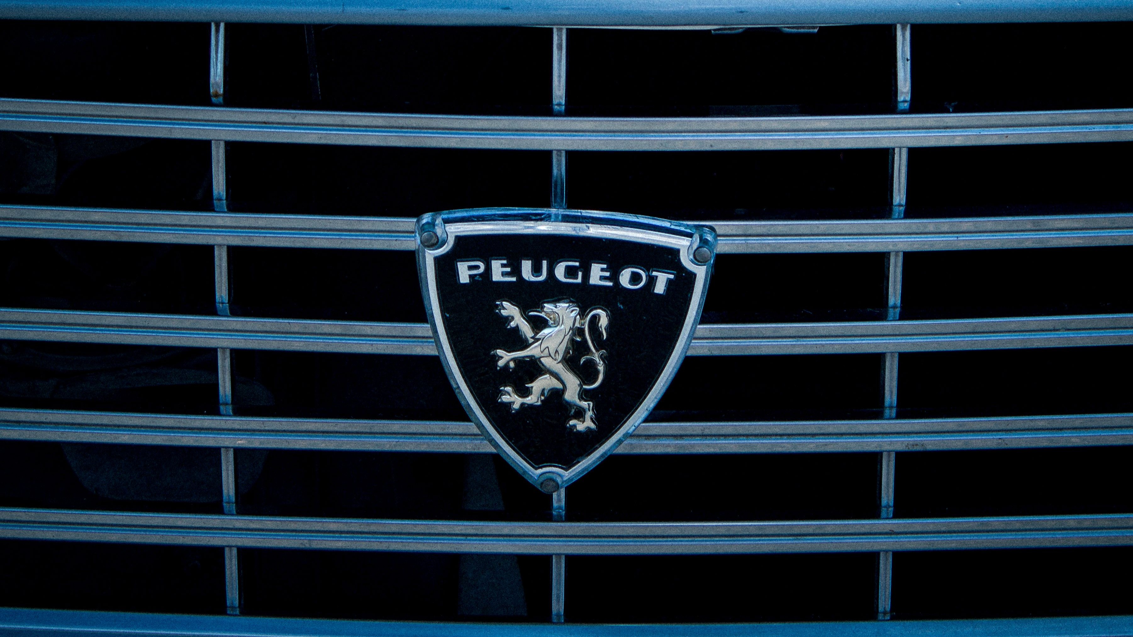 Peugeot Oto Servis Programı